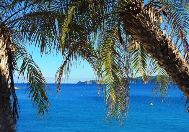 Arenal Javea Holiday Apartment 外观 照片